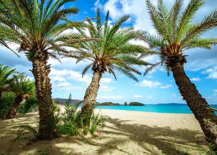 Παραλίες Κρήτης: Φοινικόδασος Βάι