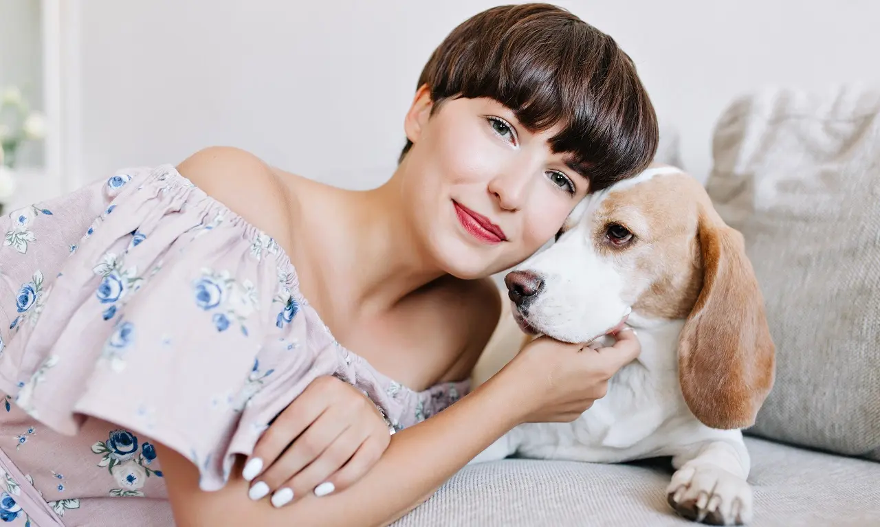 Beagle: Τα Μπιγκλ είναι πολύ φιλικά σκυλιά