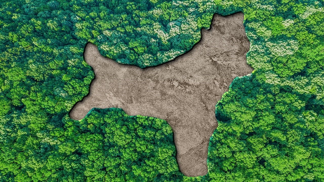 Το νησί των Χριστουγέννων στην Αυστραλία έχει αυτό το σχήμα που μοιάζει με σκύλο